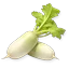 月露大根