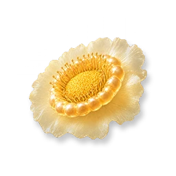 튼튼 꿀술