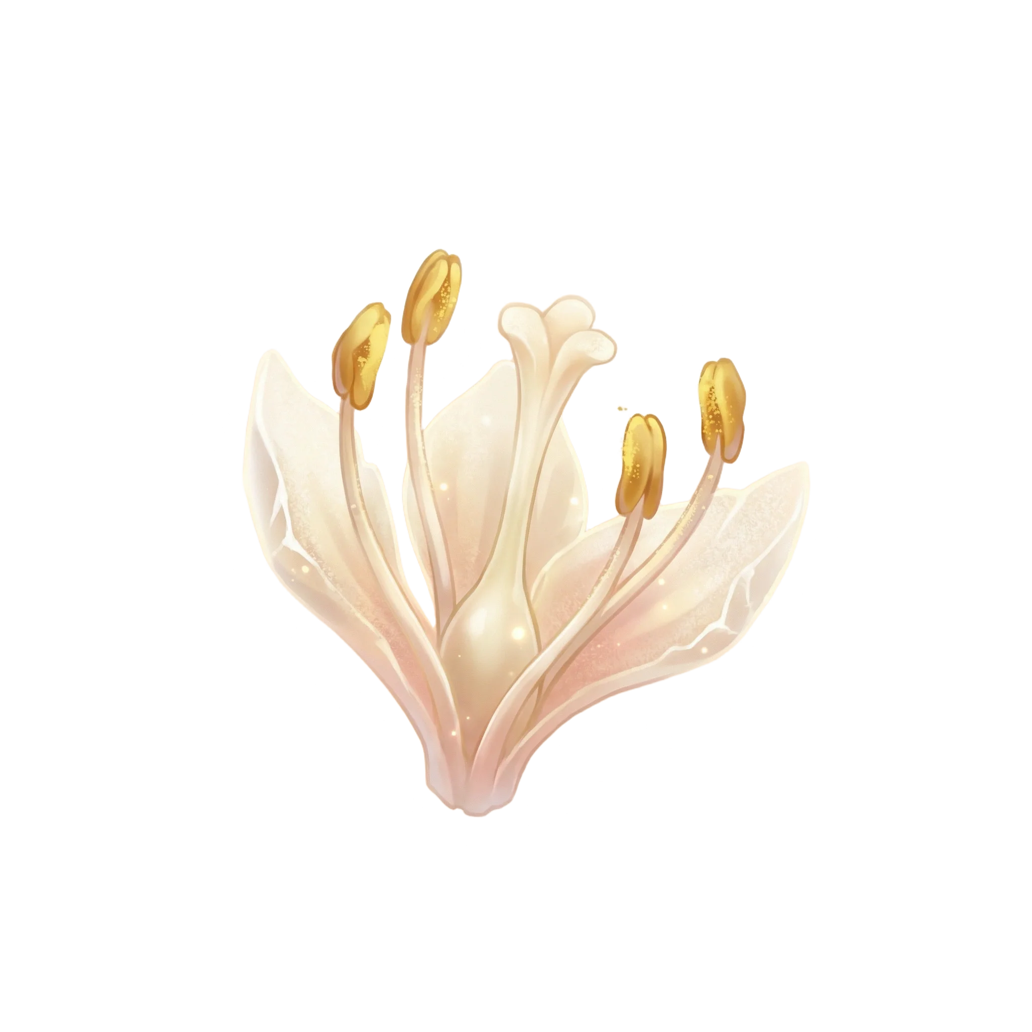 몽환 장미 꽃술