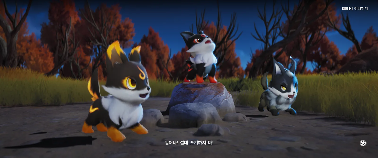 탄멍멍 세 마리가 바위 주변에서 외치는 컷신 장면